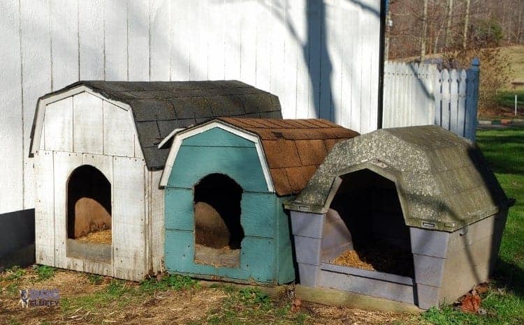 Best Insulated Dog House For 2 Large Dogs | Fits Two Large Bulldogs ...