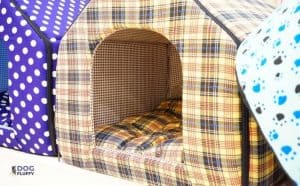 What Is The Warmest Dog House Featured Image