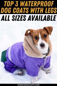 waterproof dog coat with underbelly