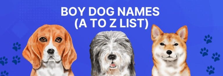 How To Choose A Male Dog Names? 400+ Brilliant Boy Dog Names - Dog Fluffy