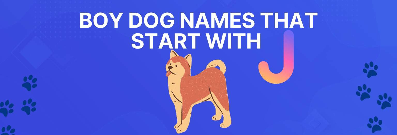 how-to-choose-a-male-dog-names-400-brilliant-boy-dog-names-dog-fluffy