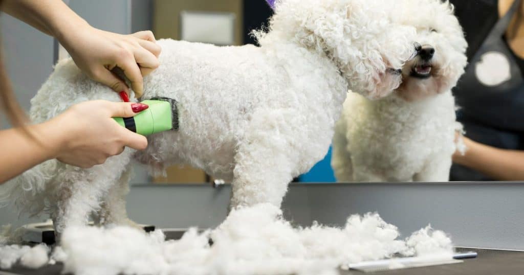 Discover the Best Dog Calming Aid for Grooming