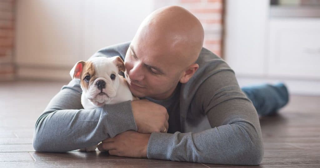 Socialization and Obedience Training - How to Train a Bulldog Puppy