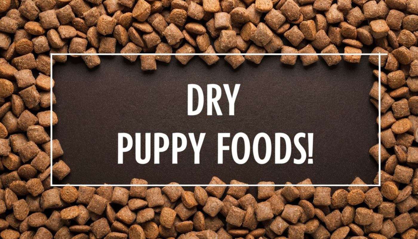 Best Dry Puppy Foods: Transform Your Pup’s Health