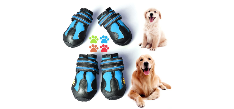 Best Shoes for English Bulldogs - CovertSafe& Dog Boots