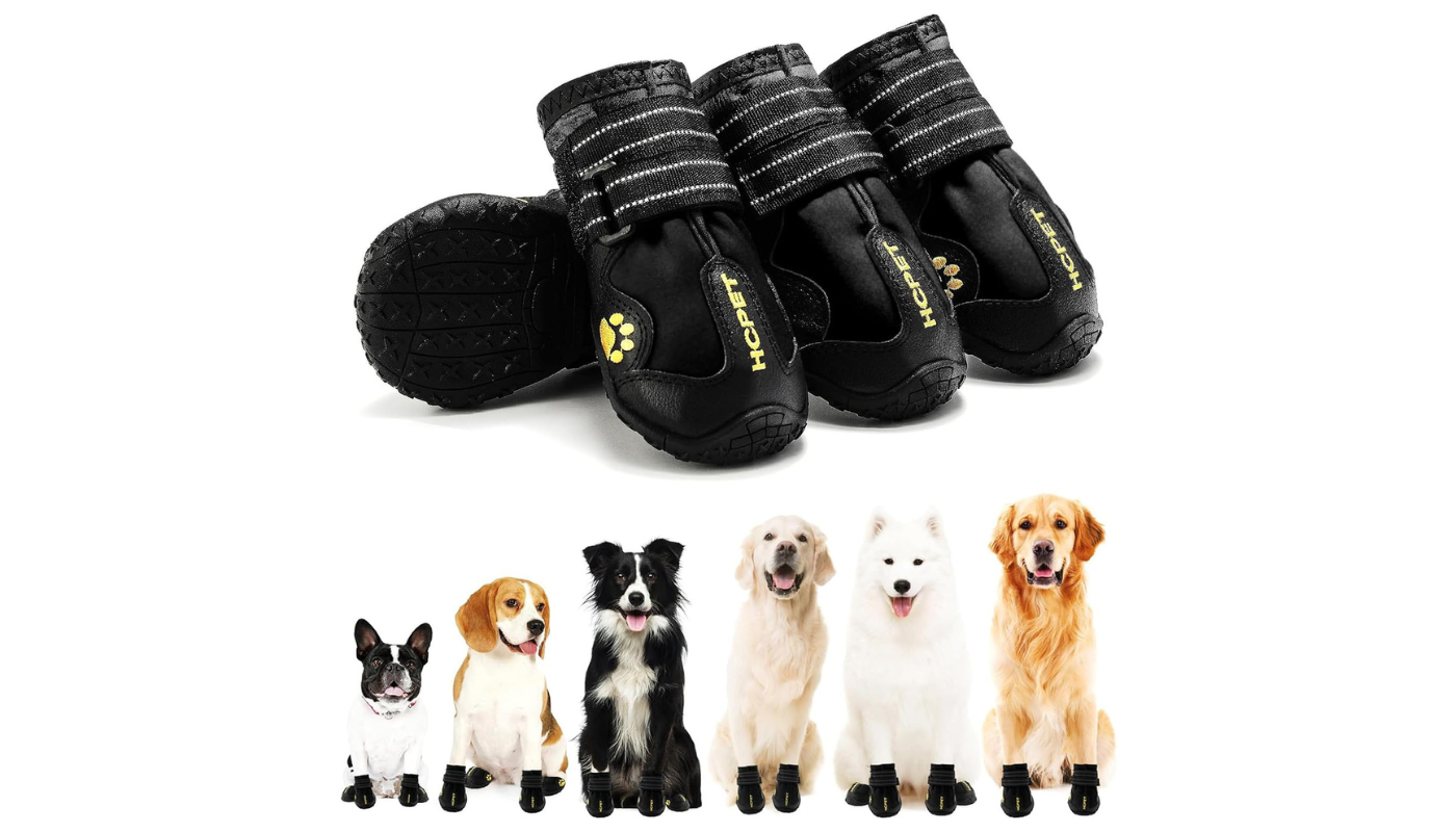 Best Shoes for English Bulldogs - Hcpet Paw Protectors