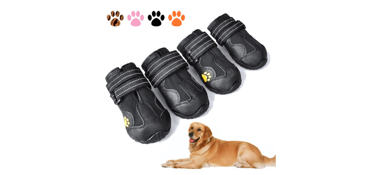 Best Shoes for English Bulldogs Paw-fect Protectors