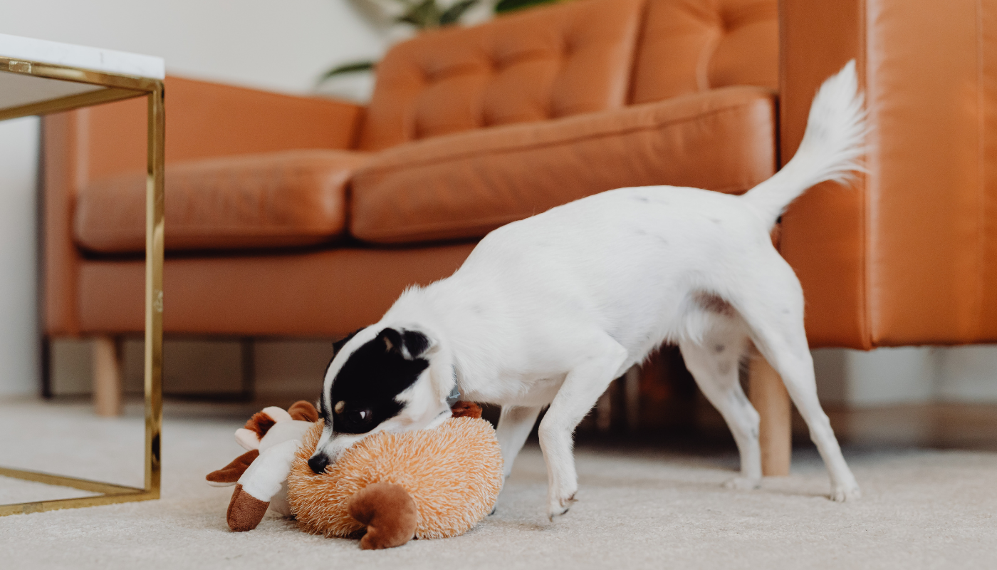 Dog Toys for Aggressive Chewers: Indestructible Solutions