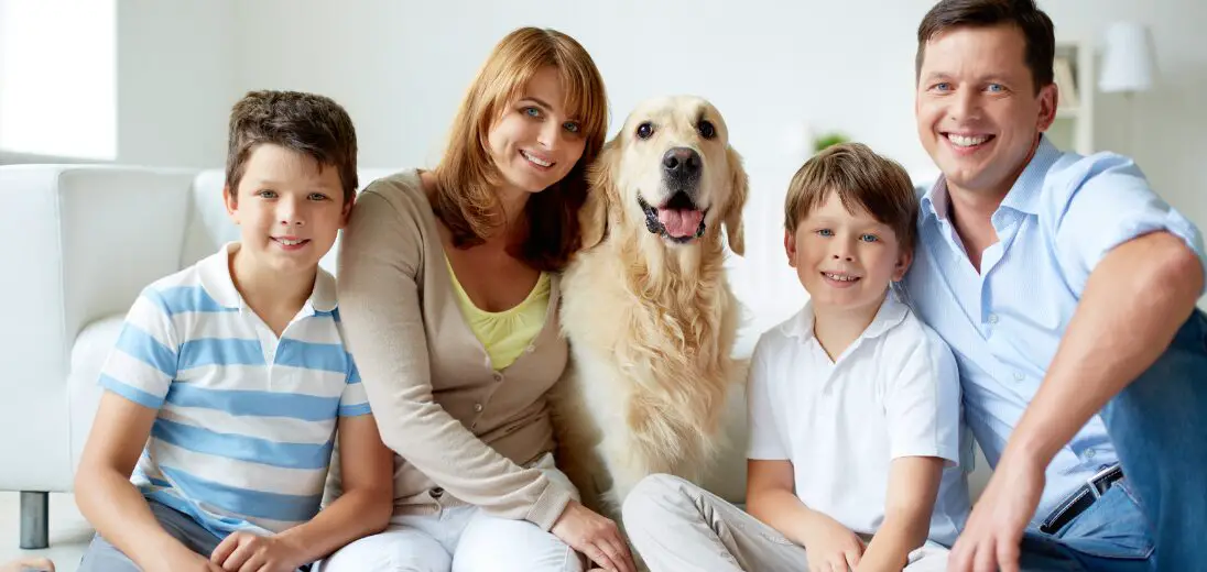 Fluffy Dogs for Families: Best Top Breeds and Tips to Choose