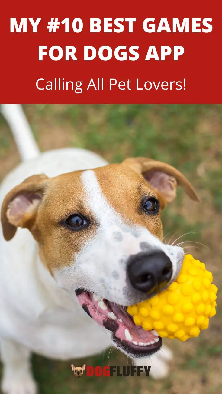 My #10 Best Games for Dogs App - Calling All Pet Lovers!