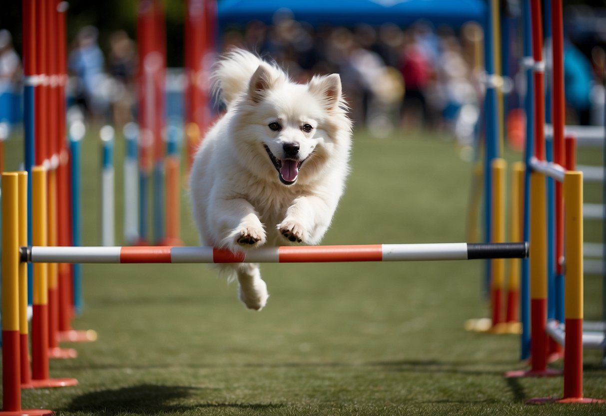 A fluffy dog leaps through agility course obstacles at a competition